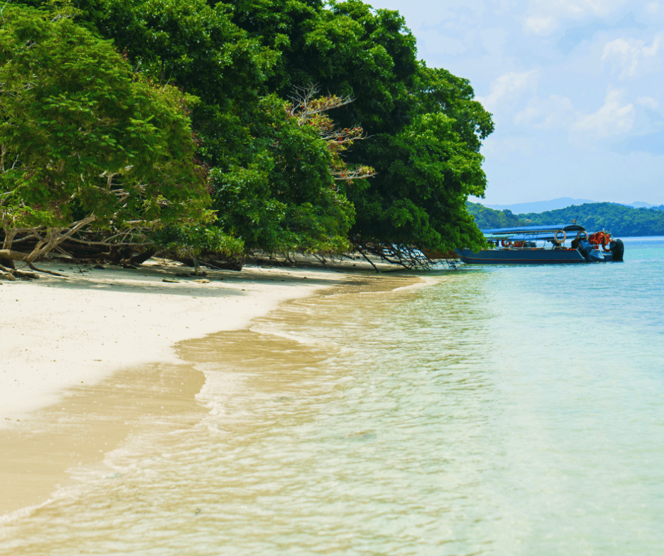  Pulau Singa Besar